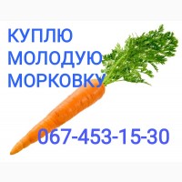 Куплю морковку самовывоз