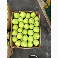 Продамо яблука із власного саду виробника- ФГ «Голден+», Закарпатська обл