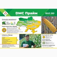 Продам насіння кукурудзи Хотин, Хортиця, Прайм, Фієста, Гран-6, Гроно