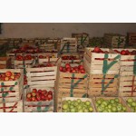 Продам товарные яблоки 50 тонн