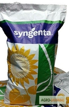 Фото 7. Семена кукурузы Monsanto ( Dekalb ) ДКС-3472