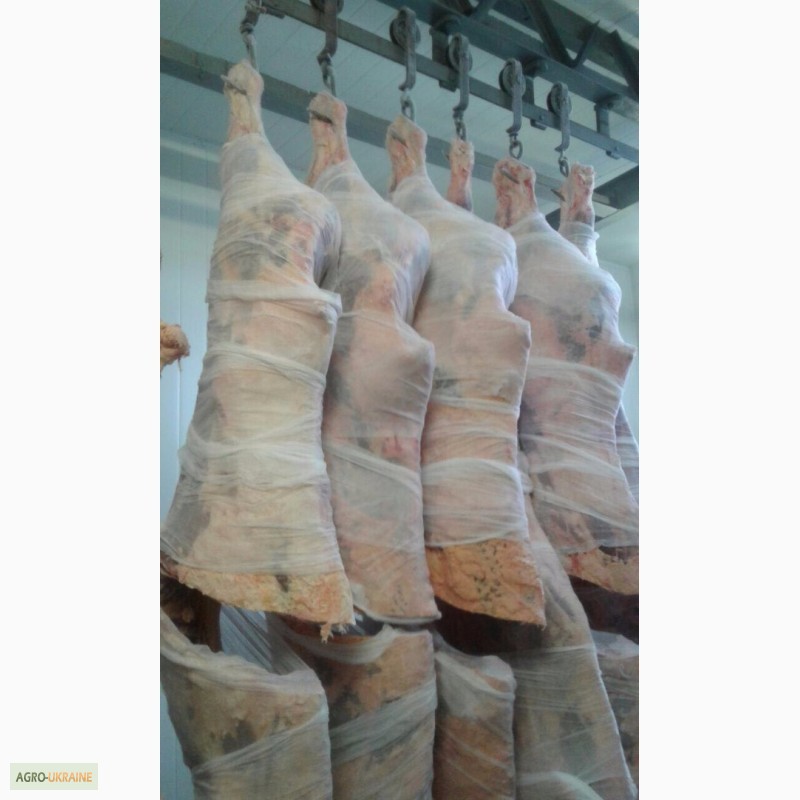Продам говядину в полутушах, возможен Халяль на экспорт высочайшего качества