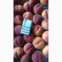 Продам крупный персик