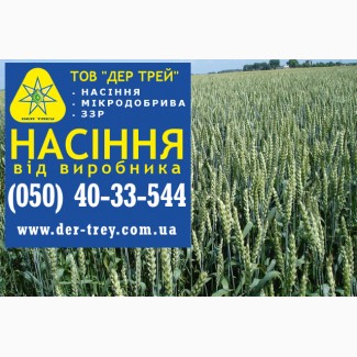 Семена озимой пшеницы Грация, урожай 2017 года от компании Дер Трей