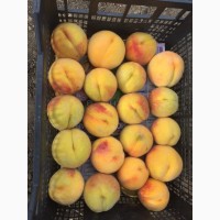Продам персик с сада Крымская осень