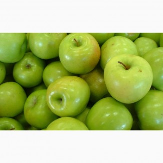 Продам найкрасивіші яблука Гренні Сміт! Дуже великі, сочні та красиві