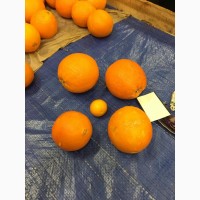 Продам апельсин на фреш