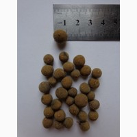 Семена Липа амурская (20шт - 10грн)