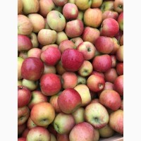 Продаємо гарне яблуко Грені Сміт, Голден Делішес, Фуджі, Ред Делішес