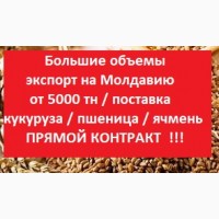 ЗАКУПКА на Молдову от 5000 т = Пшеница = Ячмень = Кукуруза