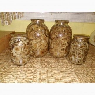 Продам Маринованные грибы, опята, сыроежки