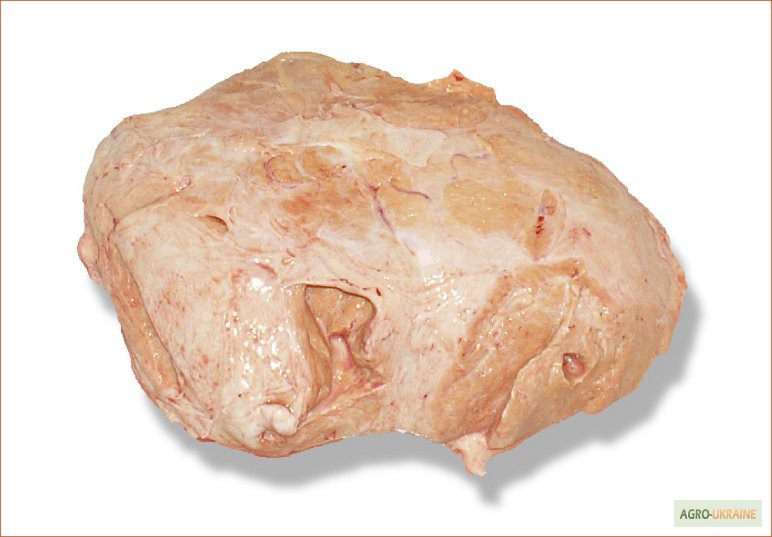 Фото 3. Продамо м#039;ясо яловичини I-ї категорії на кістці, Корова 80+, охолоджена. Блочное м#039;ясо