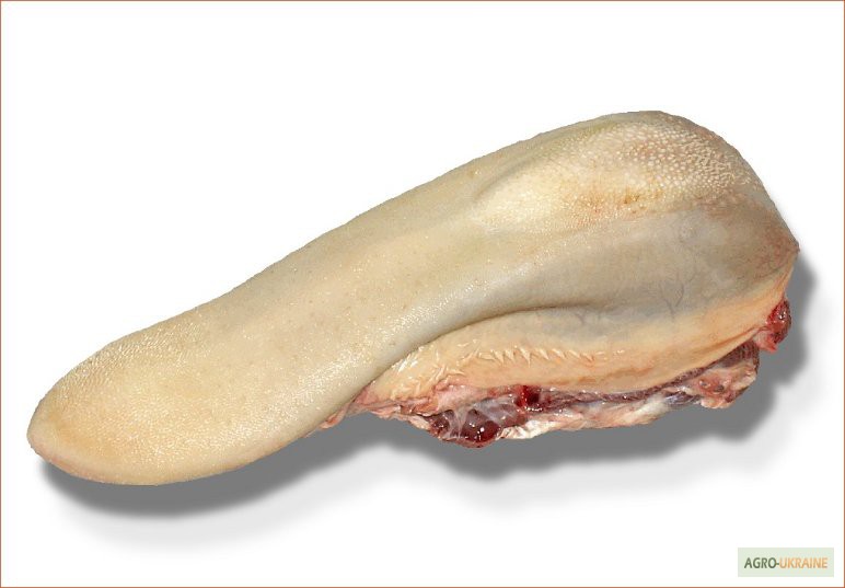 Фото 9. Продамо м#039;ясо яловичини I-ї категорії на кістці, Корова 80+, охолоджена. Блочное м#039;ясо