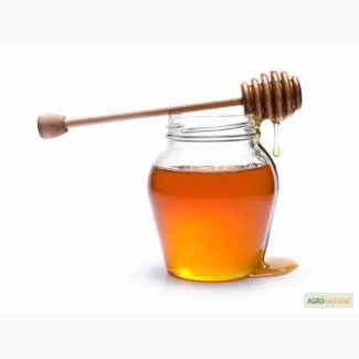 Закупаем мед оптом от 34 грн.кг.Украина