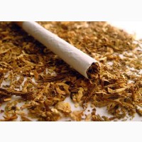 Продам ферментированный чистый табак высшего сорта, резка 1мм схожестьAmerican Blend