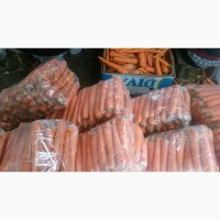 Продам морковь товарную мытую, сорт Абако, Кордоба, Марелия
