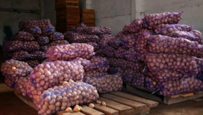 Фото 4. Продам товарный картофель, сорт Славянка и Бела Росса