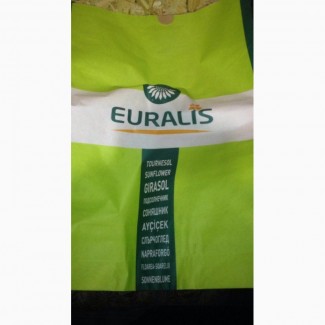 Семена подсолнечника Евралис (EURALIS)