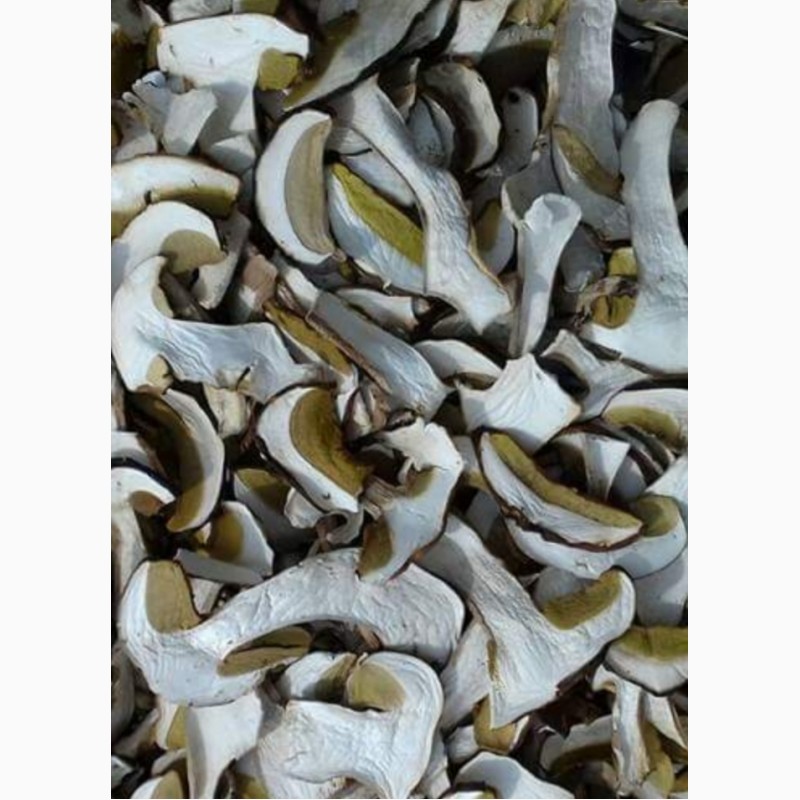 Фото 3. Куплю белый сухой гриб