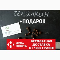 Чекалкин орех (Ксантоцерас) семена (10 штук) для выращивания саженцев
