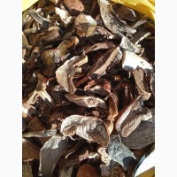 Сухие лесные грибы из Закарпатя подосиновик подберезовик цены указаны за 1 кг