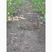 Деструктор пожнивных остатков +удобрение для улучшения качества почвы