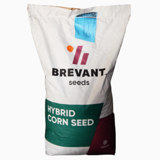 Семена кукурузы МТ МАТАДО от компании BREVANT Seeds