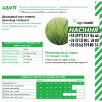 Семена ярового ячменя Адапт от компании Agrotrade