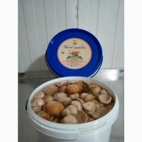 Мариновані гриби - маринована, солена продукція