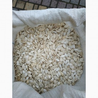 Продам семечку тыквы 1, 5 т в Запорожской области