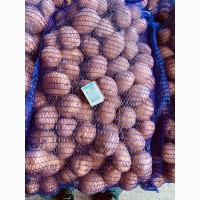Семенное хозяйство реализует:Семенной картофель Гранада, Лабелла, Паролли, Коломбо