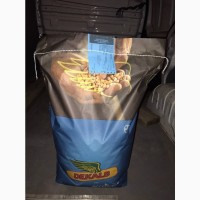 Семена кукурузы Монсанто Декалб ДКС 3730