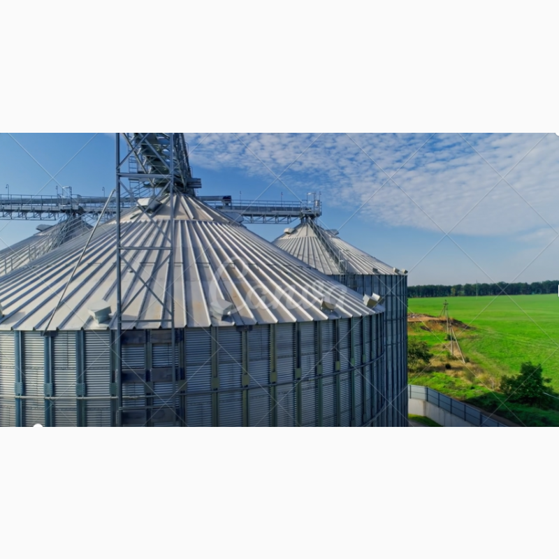Фото 3. Продамо зерно з елеватора на умовах FCA або DDP.We offer corn, wheat, soybean grain from