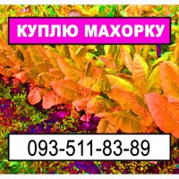 Закупка махорки, пересилка наша