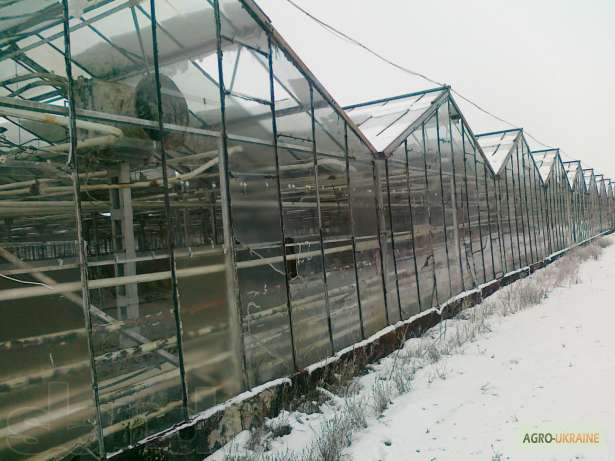 Продажа теплиц, парников — купить теплицы, парники б/у и нов. — Agro-Moldova