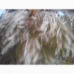Продам сырье сорго для вязания и производства веник
