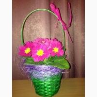 Купить цветок примулы в Киеве на 14 февраля и к 8 марта
