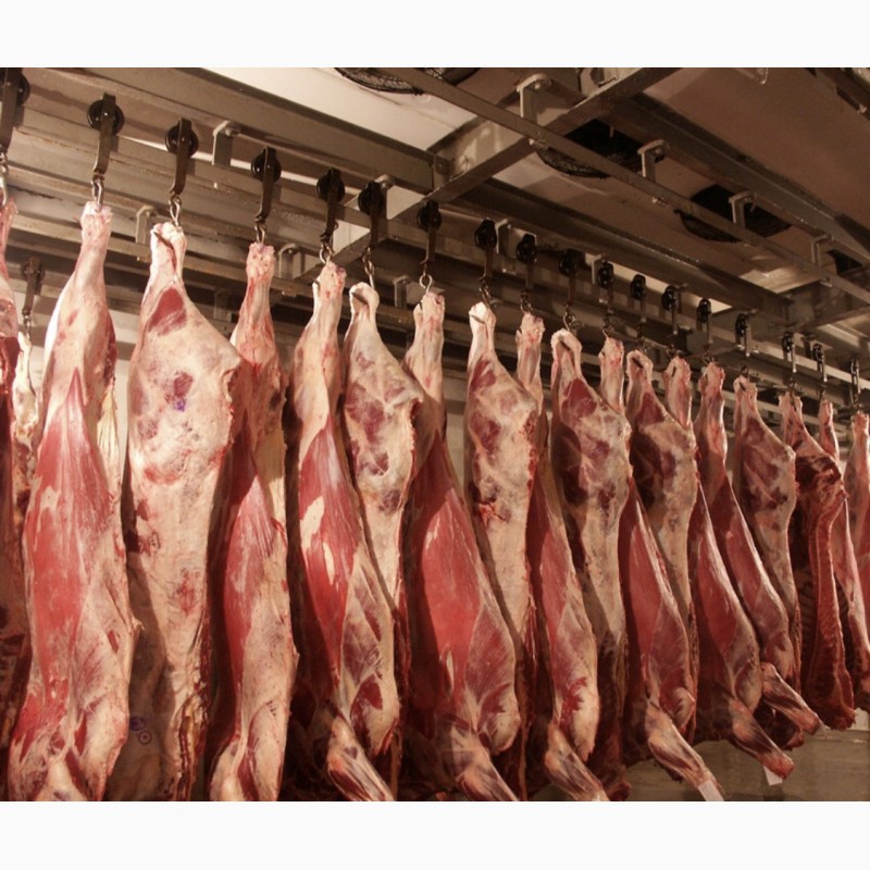 Фото 3. Продажа свиних та яловичих півтуш та суп продуктів