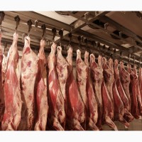 Продажа свиних та яловичих півтуш та суп продуктів