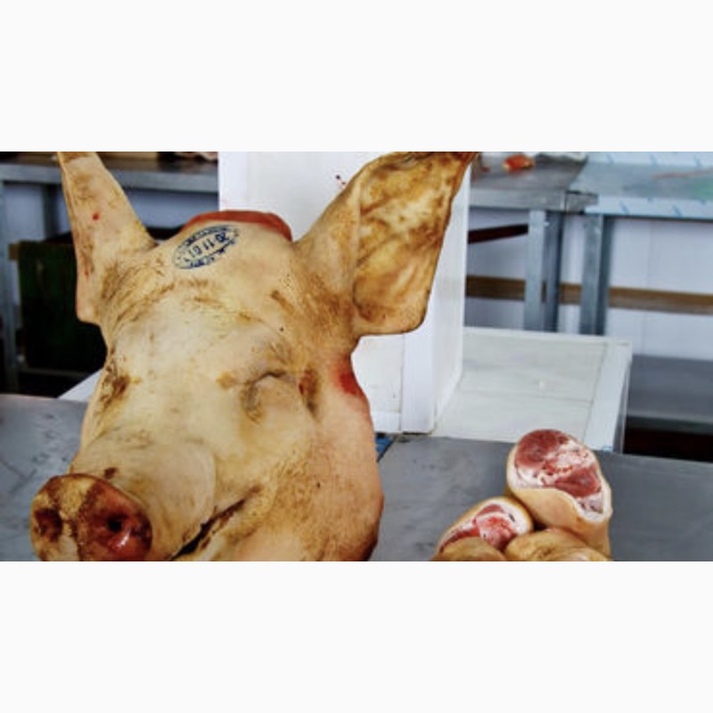 Фото 4. Продажа свиних та яловичих півтуш та суп продуктів