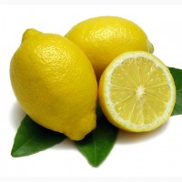 3-летние саженцы комнатного лимона