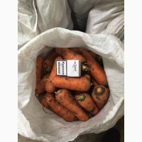 Продам Морковь Абако