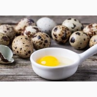 Продам перепелиные яйца ОПТОМ. Есть постоянный объём