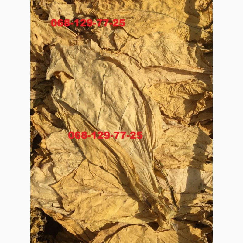 Фото 3. Лист Табака Вирджиния голд высший сорт, импорт.Идеал лист тютюну, листок тютюну, тютюн