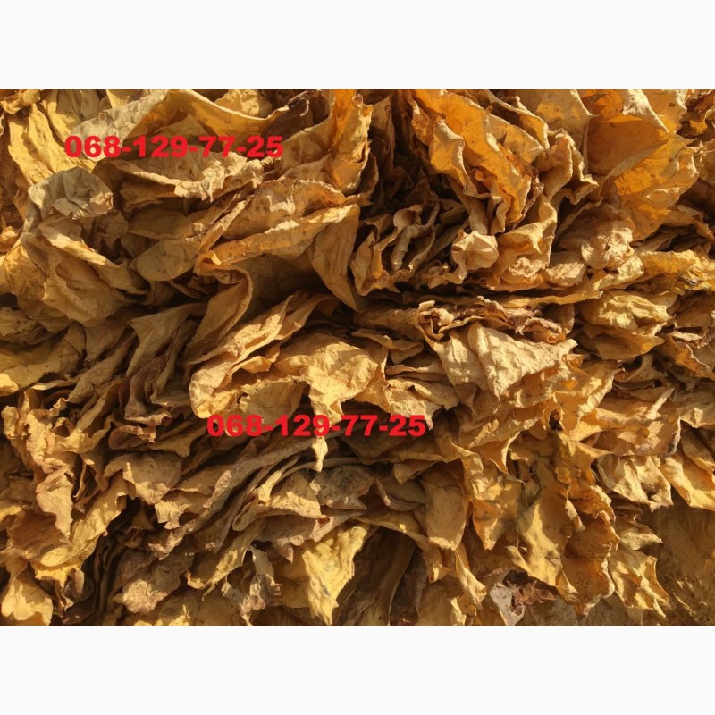 Фото 4. Лист Табака Вирджиния голд высший сорт, импорт.Идеал лист тютюну, листок тютюну, тютюн