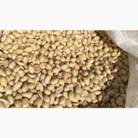 Продается арахис бланшированный 38/42 сырой, мешок 25 кг, Бразилия