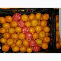 Продам мандарин Сатсума (Туреччина)