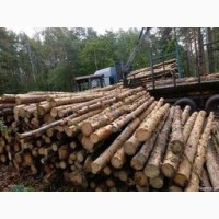 Продам соснові дрова