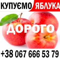 Куплю яблука на переробку, на сік - ціна 11.60 грн - від 15 т. Готівка та Безгот