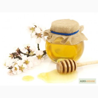 Экспорт мёда из Украины оптом